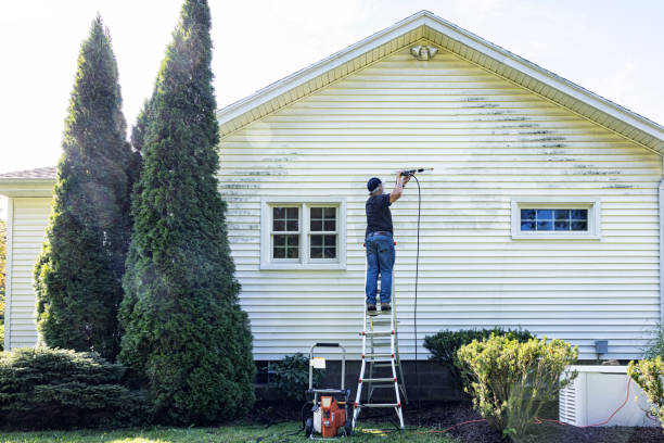 Trusted Roma, TX  Pressure Washing Services Experts